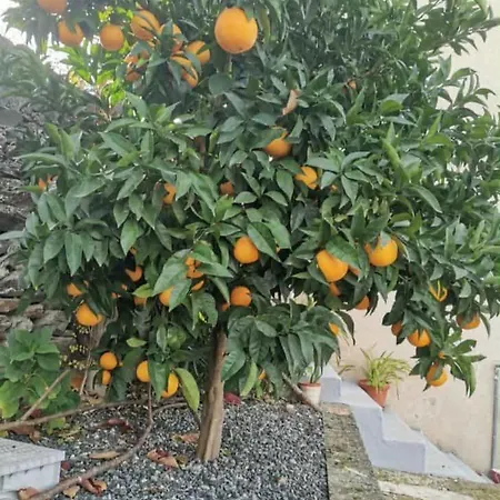 Les Collines Du Sabor *